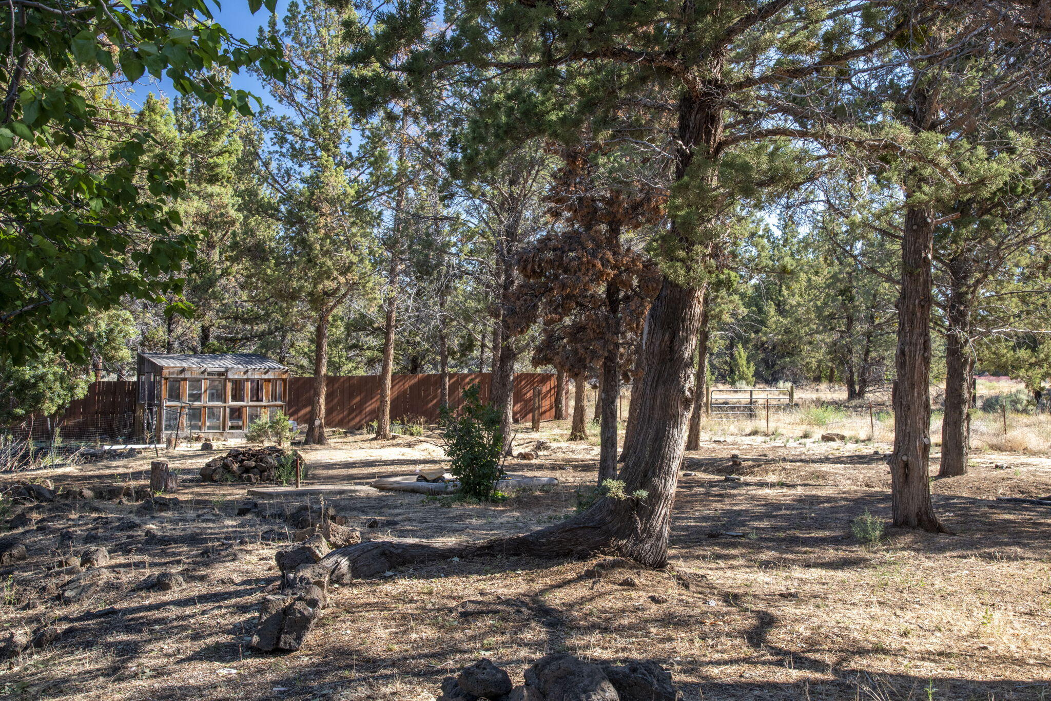 62540 Eagle Road Bend, OR 97701 - Photo 23 of 30 24-web-or-mls-DSC_8003