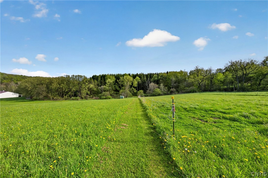 1024 N Road Tully, NY 13159 - Photo 42 of 49