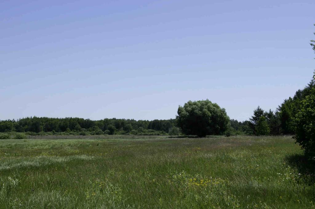 Tbd 189th Avenue Sebeka, MN 56477 - Photo 1 of 1 Gallery Image 1