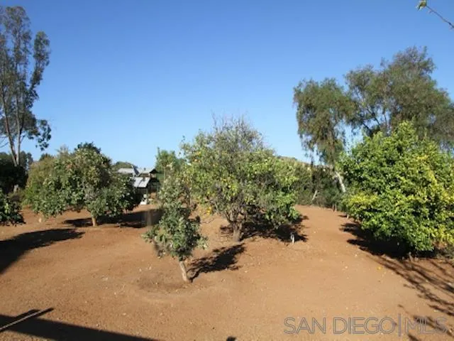 16544 Franzen Farm Road San Diego, CA 92127 - Photo 23 of 25 a view of a road with a yard