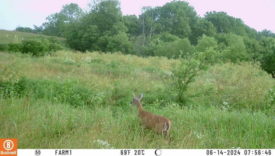 1534 Salt River Road Danville, KY 40422 - Photo 25 of 25 tempImageE1v4wn
