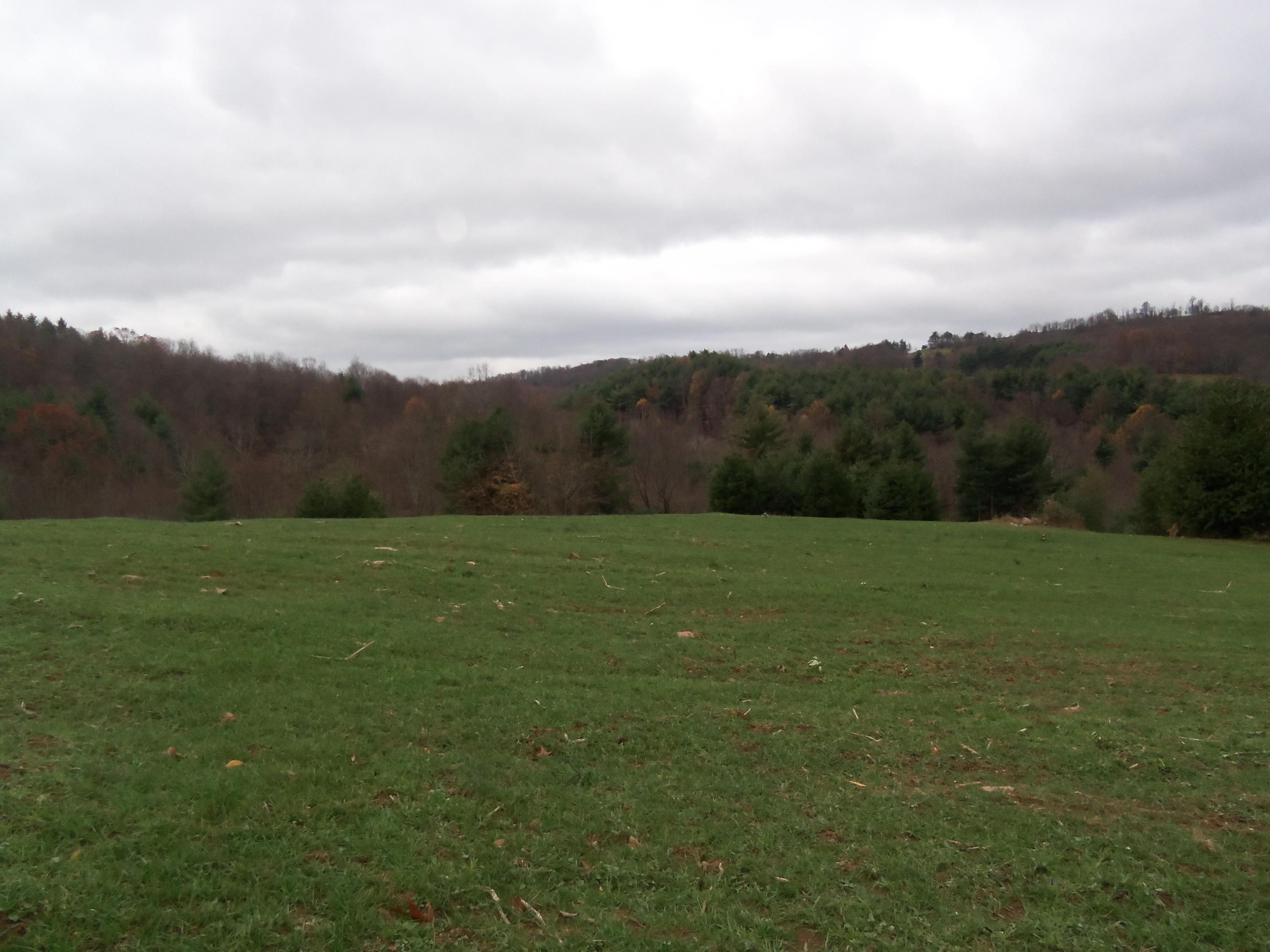 2 Black Ridge Road Floyd, VA 24091 - Photo 1 of 8 a view of a field with mountains in the background