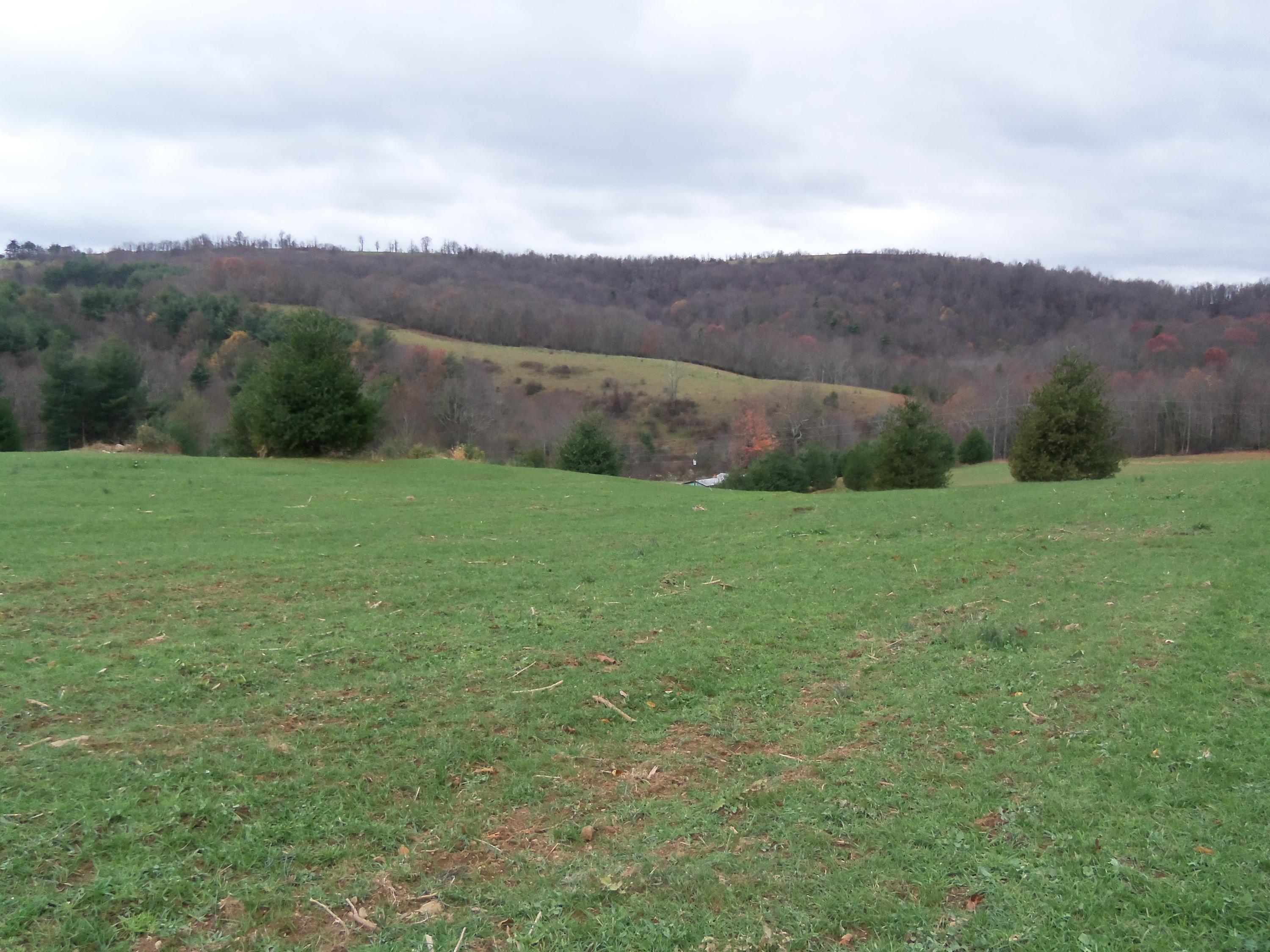 2 Black Ridge Road Floyd, VA 24091 - Photo 3 of 8 a view of an outdoor space with mountain view