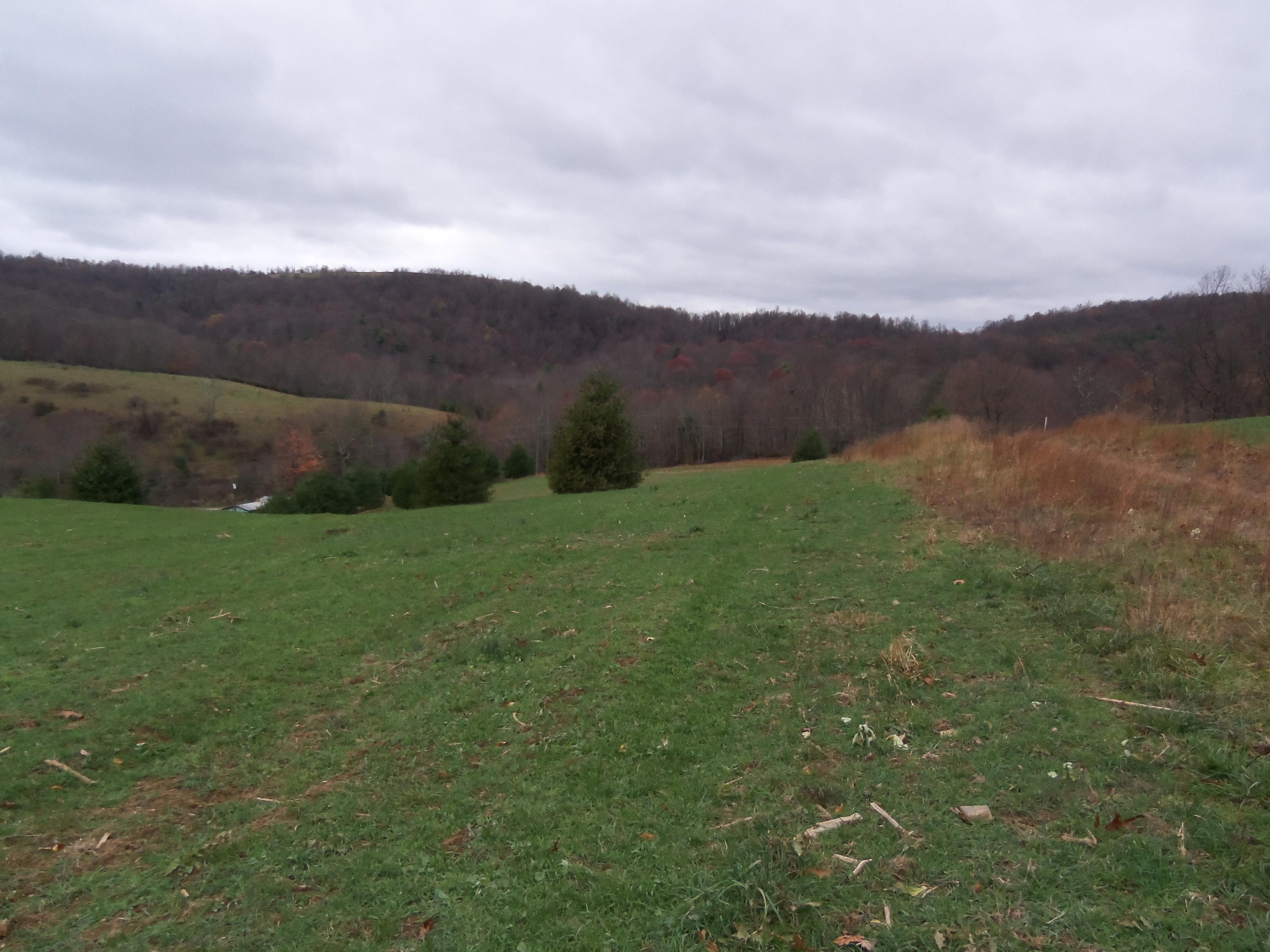 2 Black Ridge Road Floyd, VA 24091 - Photo 4 of 8