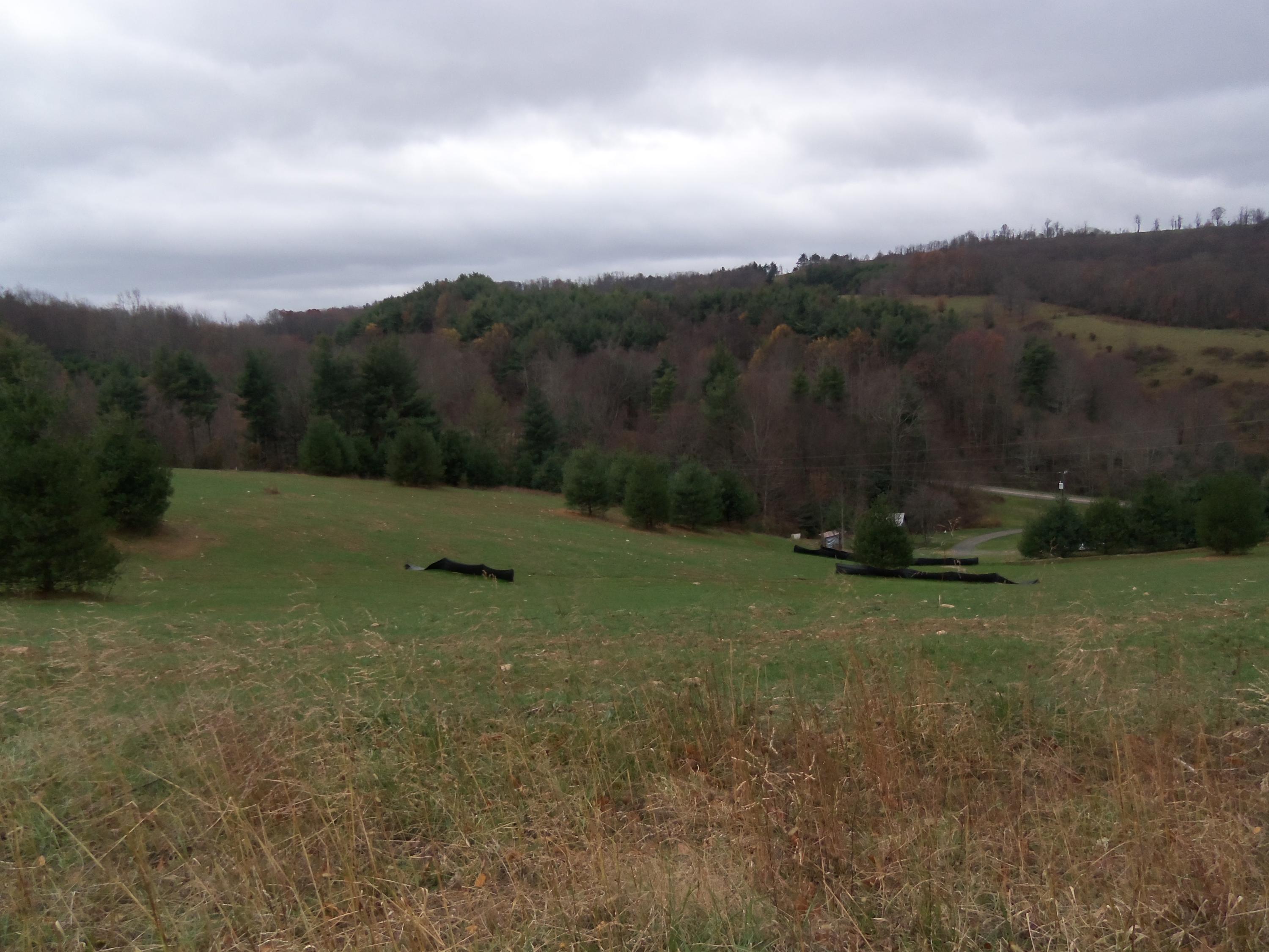 2 Black Ridge Road Floyd, VA 24091 - Photo 6 of 8 a view of a green field with mountains in the background