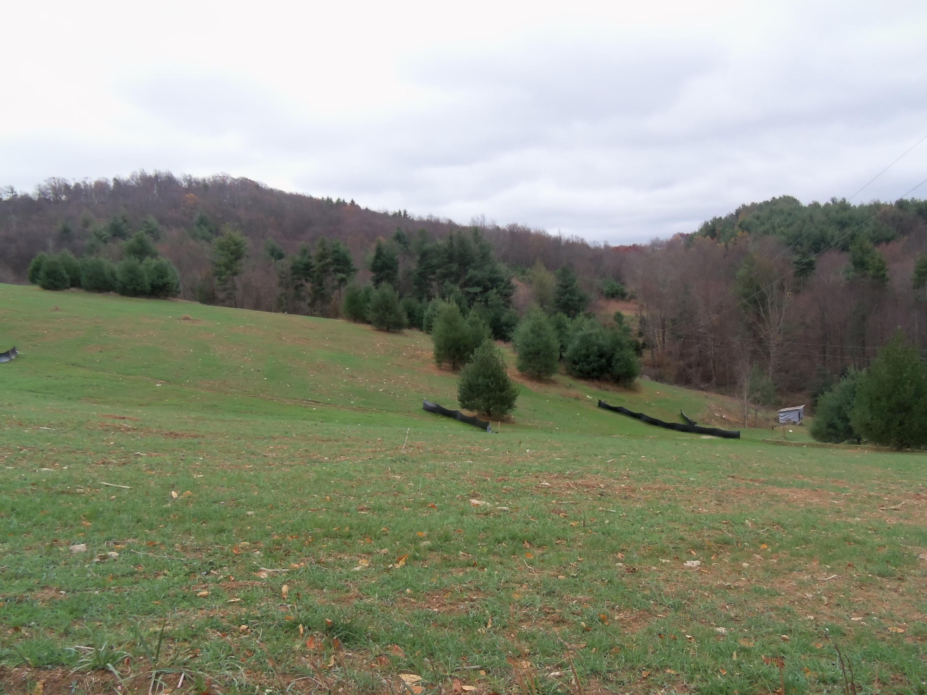 2 Black Ridge Road Floyd, VA 24091 - Photo 8 of 8 a view of a big yard with mountain view