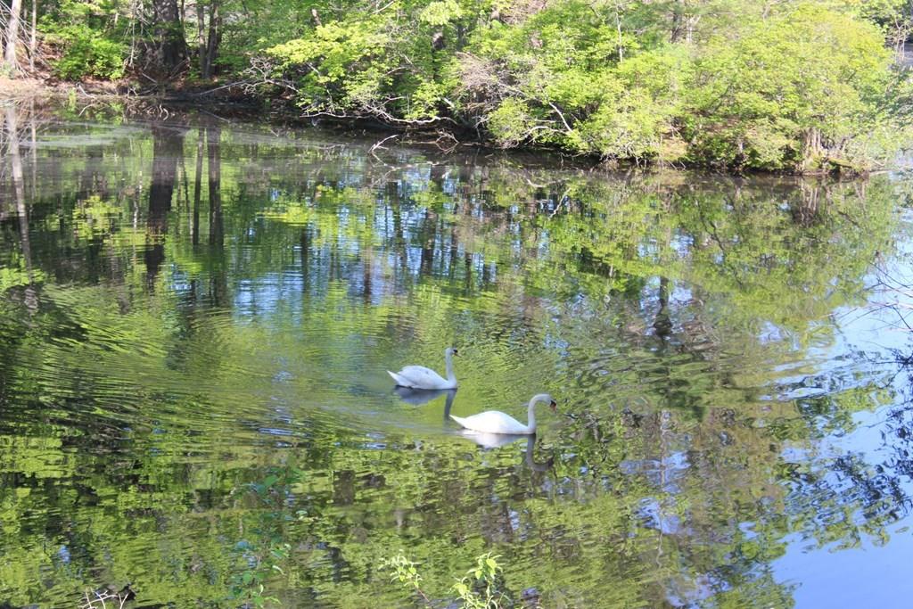 66 Manning Street Hudson, MA 01749 - Photo 32 of 40 a view of a lake view