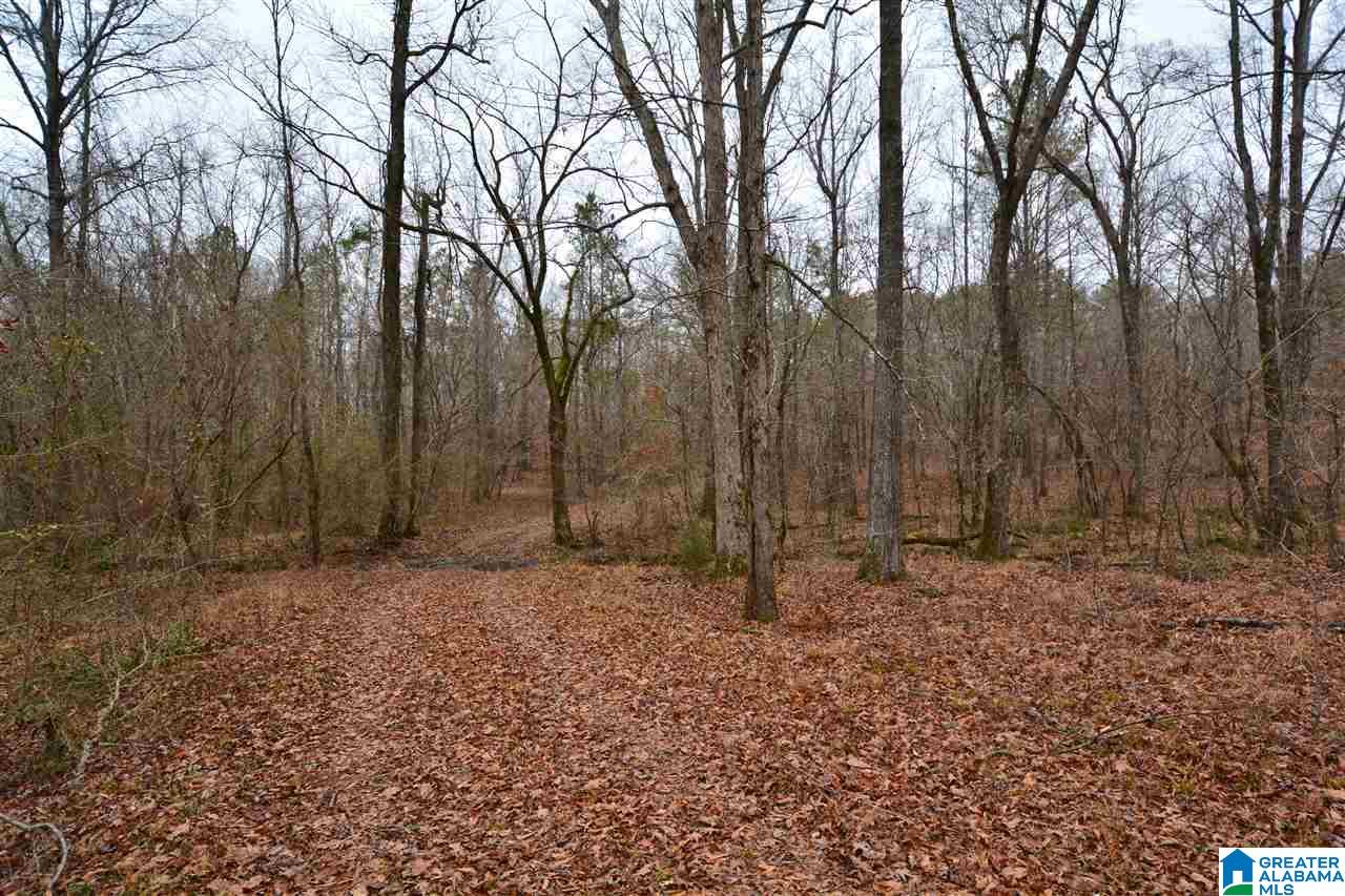 Sycamore Road Columbiana, AL 35051 - Photo 18 of 18