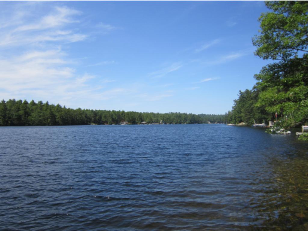 74 Shepard's Island Road Newfield, ME 04095 - Photo 4 of 23