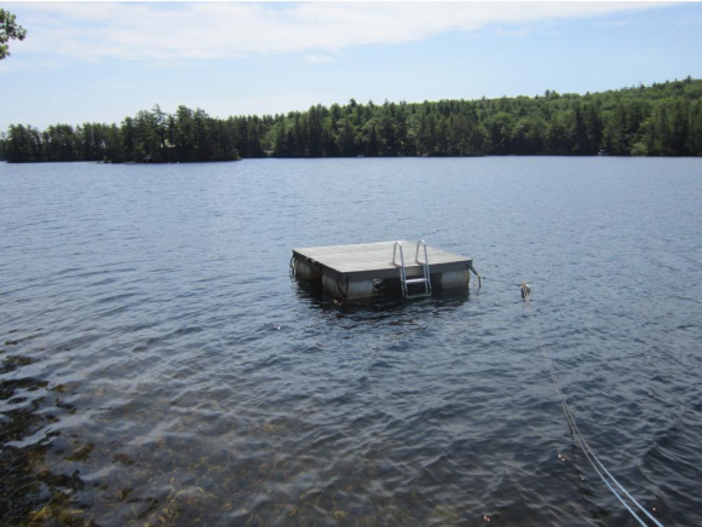 74 Shepard's Island Road Newfield, ME 04095 - Photo 5 of 23