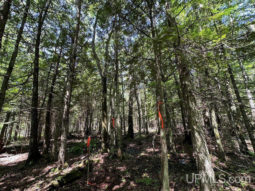 Parcel A Webb Road Grand Marais, MI 49839 - Photo 12 of 29