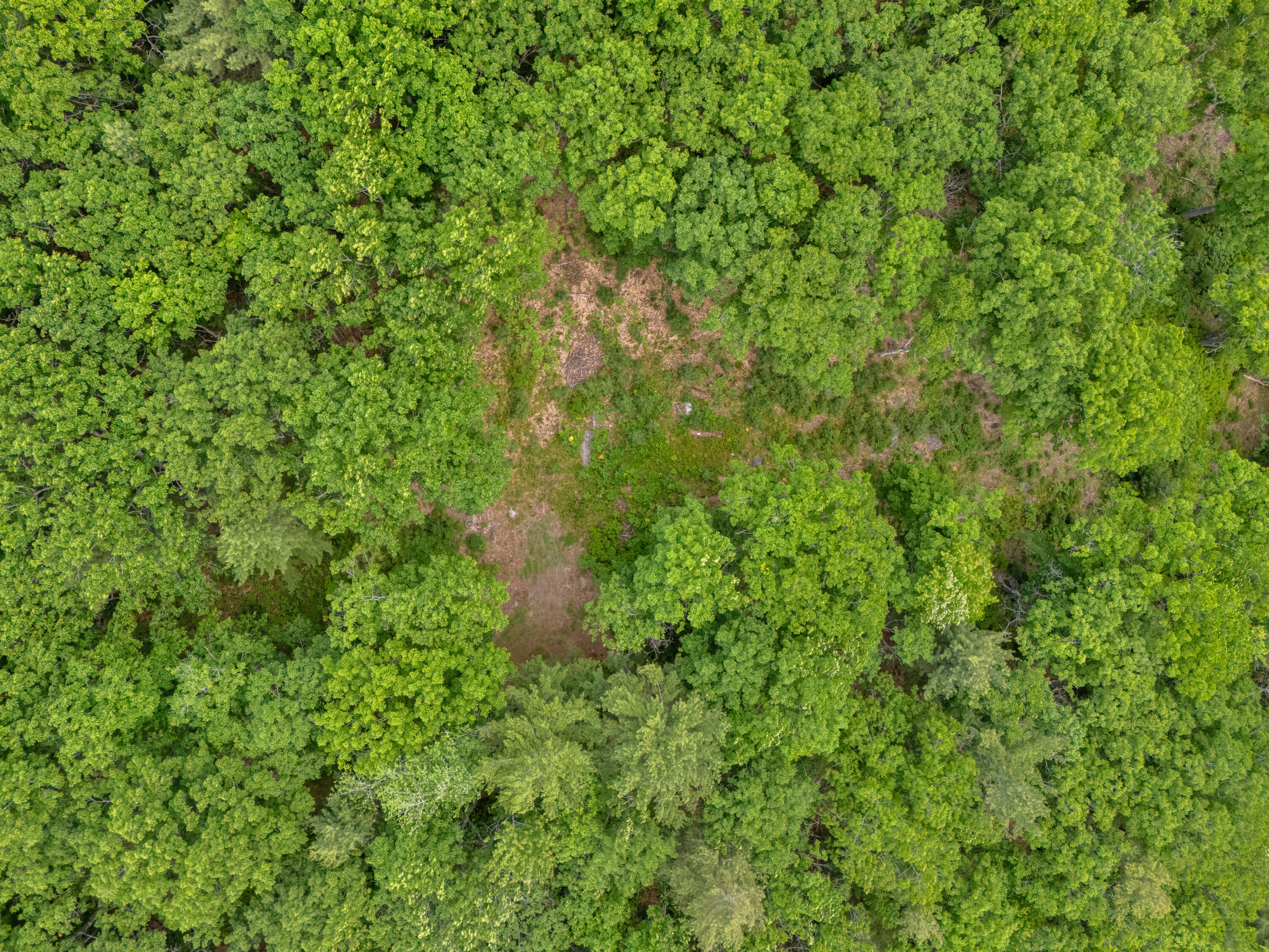 Lot 16 Captain John Parker Road Phippsburg, ME 04562 - Photo 10 of 29 DJI_20260619180457_0327_D