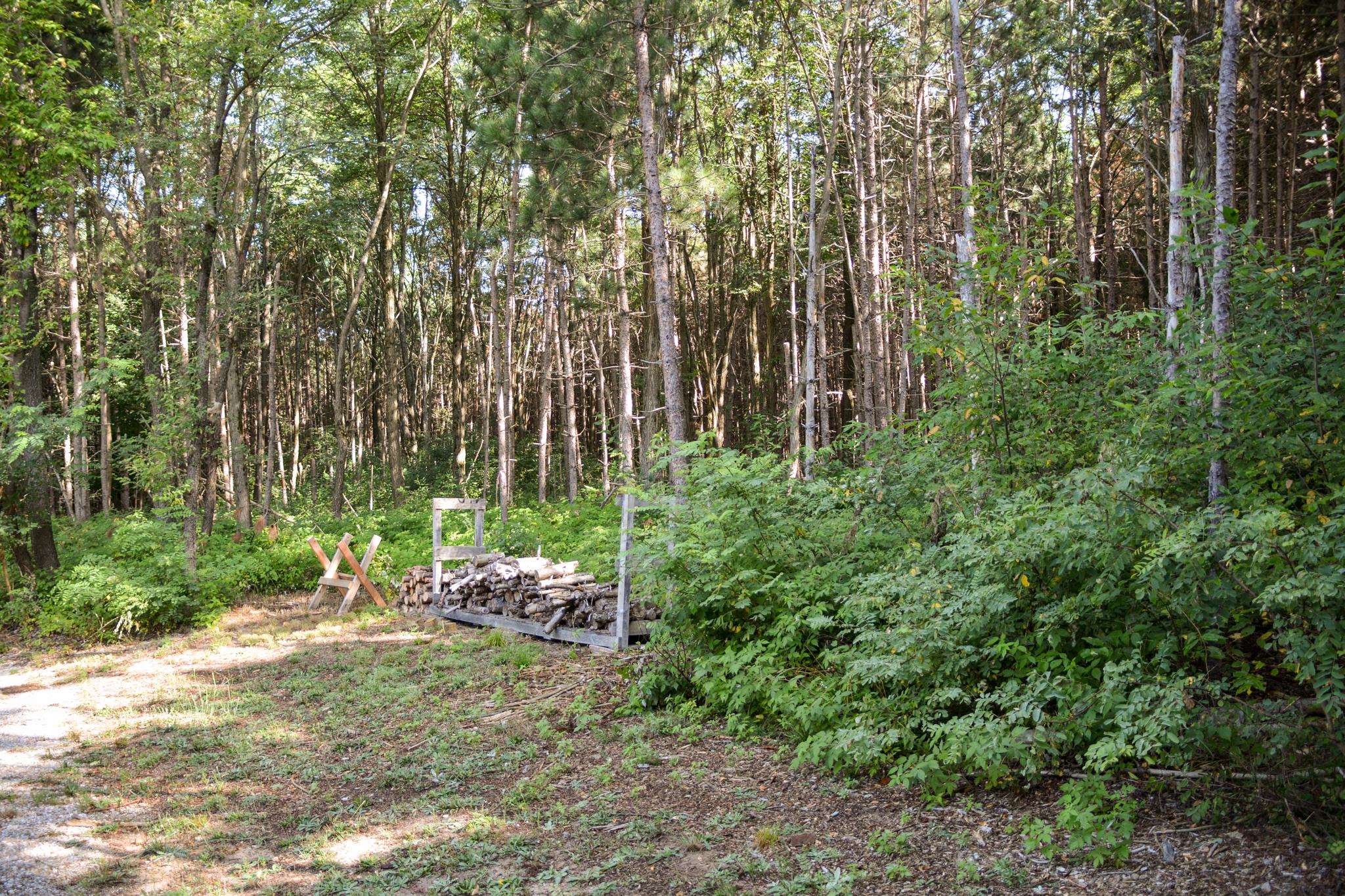 11241 Marilla Road Copemish, MI 49625 - Photo 9 of 29 Gallery Image 9
