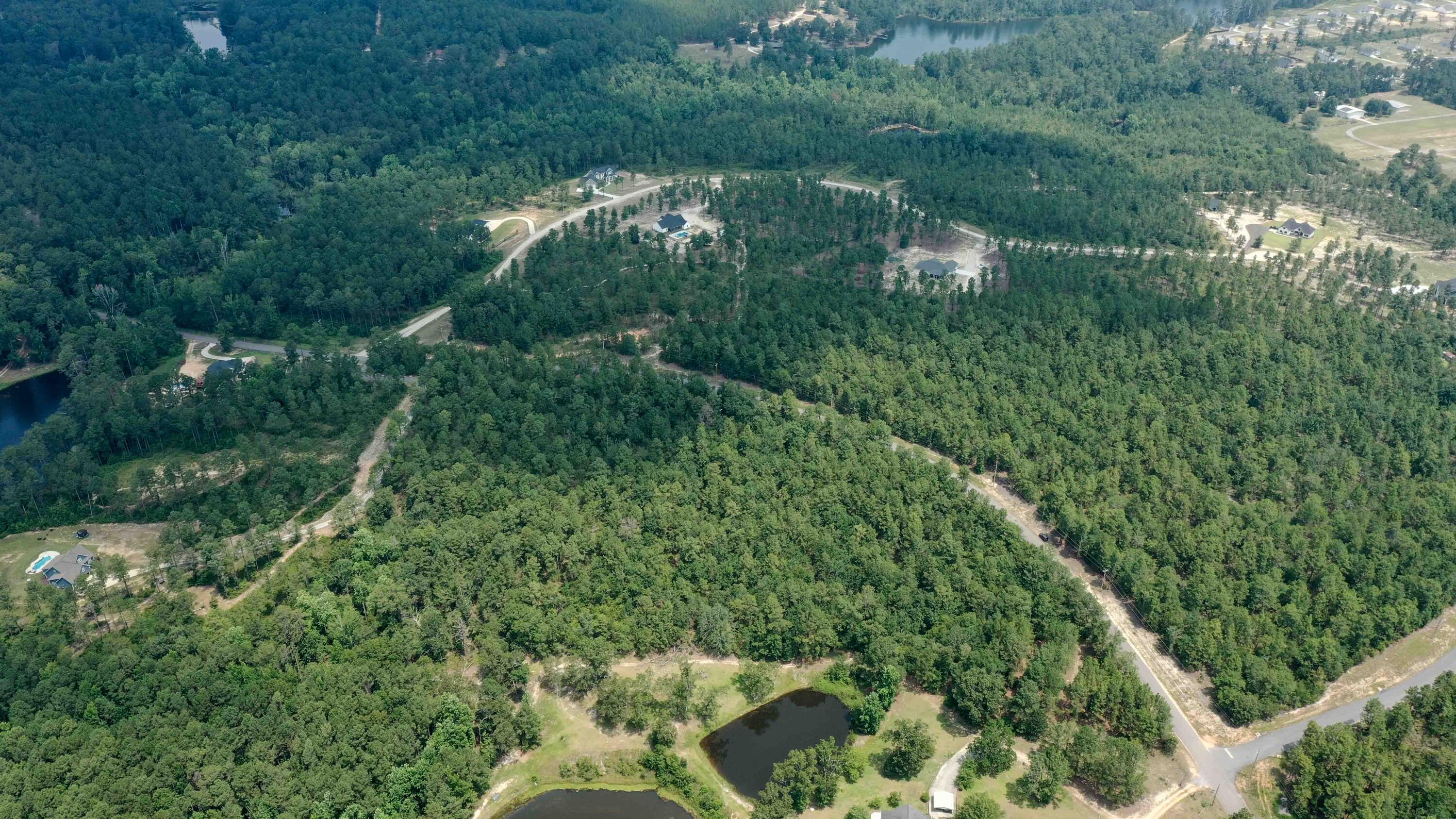 7 Mt Zion Road Williston, SC 29853 - Photo 7 of 15
