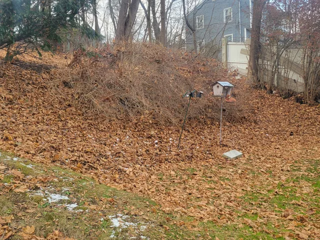 $3,150 | 12 Division Street, Unit A, Danbury, CT 06810