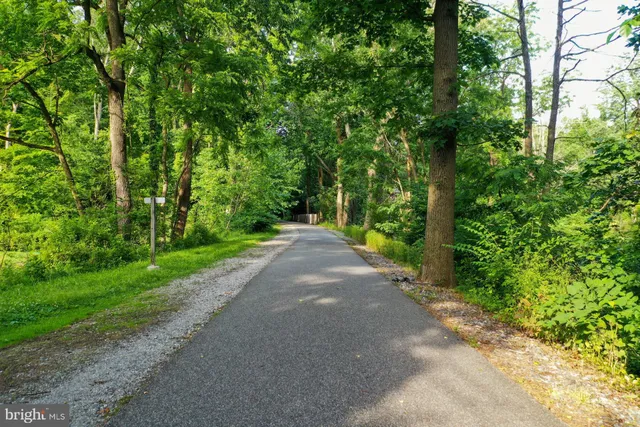 a view of a road with plants and trees