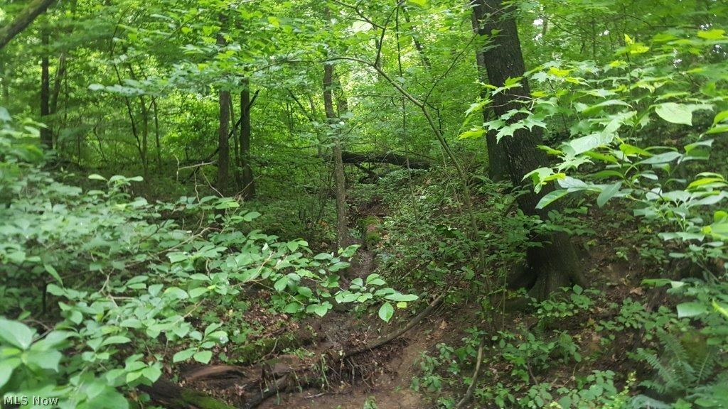 5846 Holmes Church Road Northeast New Philadelphia, OH 44663 - Photo 12 of 34