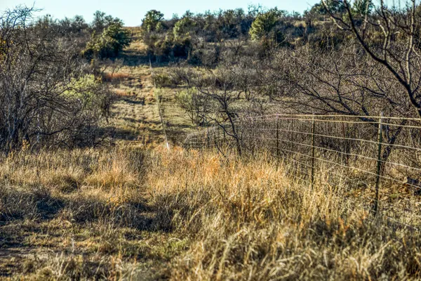 a view of a lake with large trees