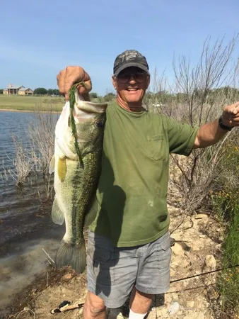 a close view of garden space