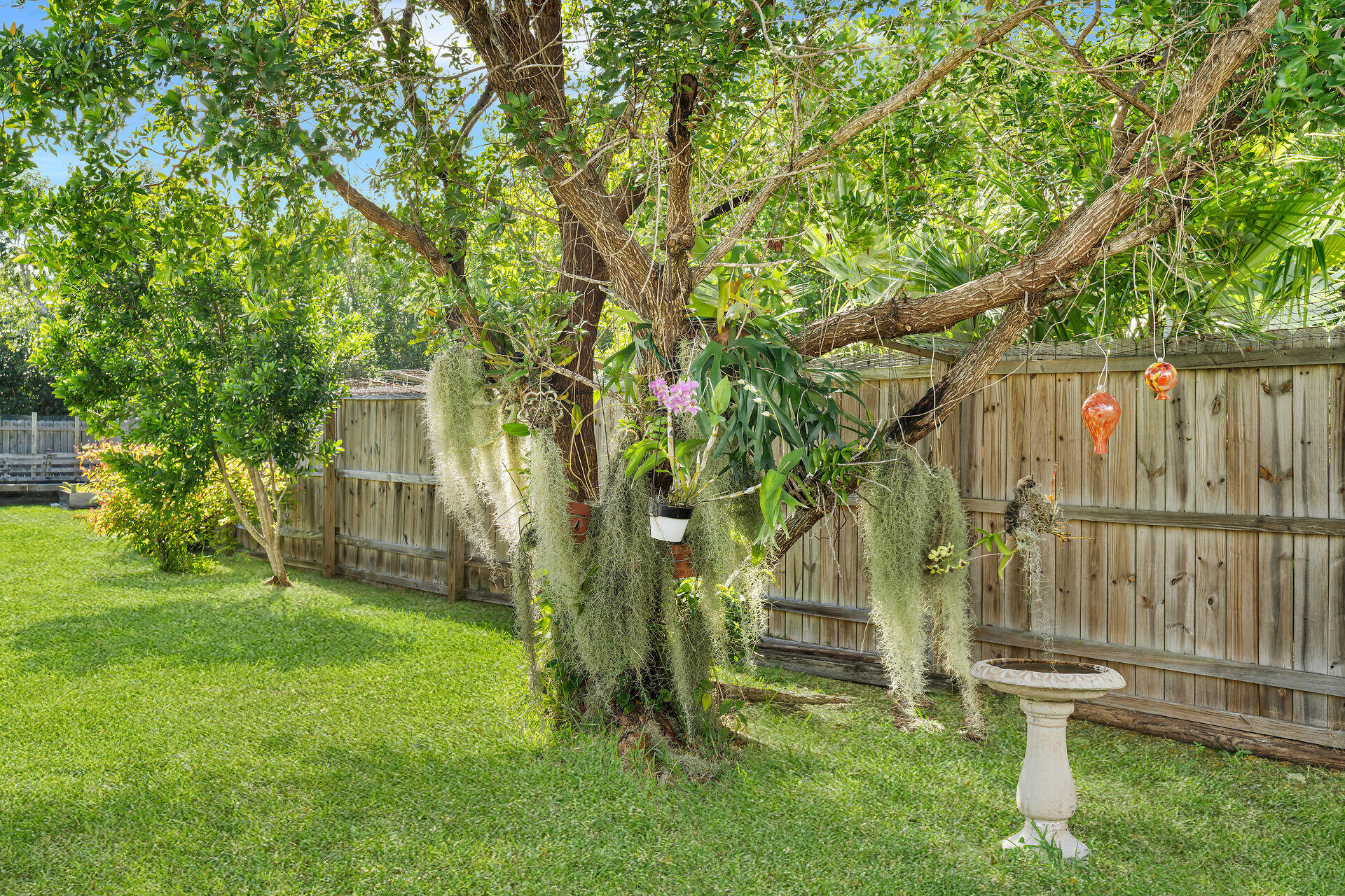 30246 Watson Boulevard Big Pine Key, FL 33043 - Photo 27 of 48 a view of backyard with a barn and large trees