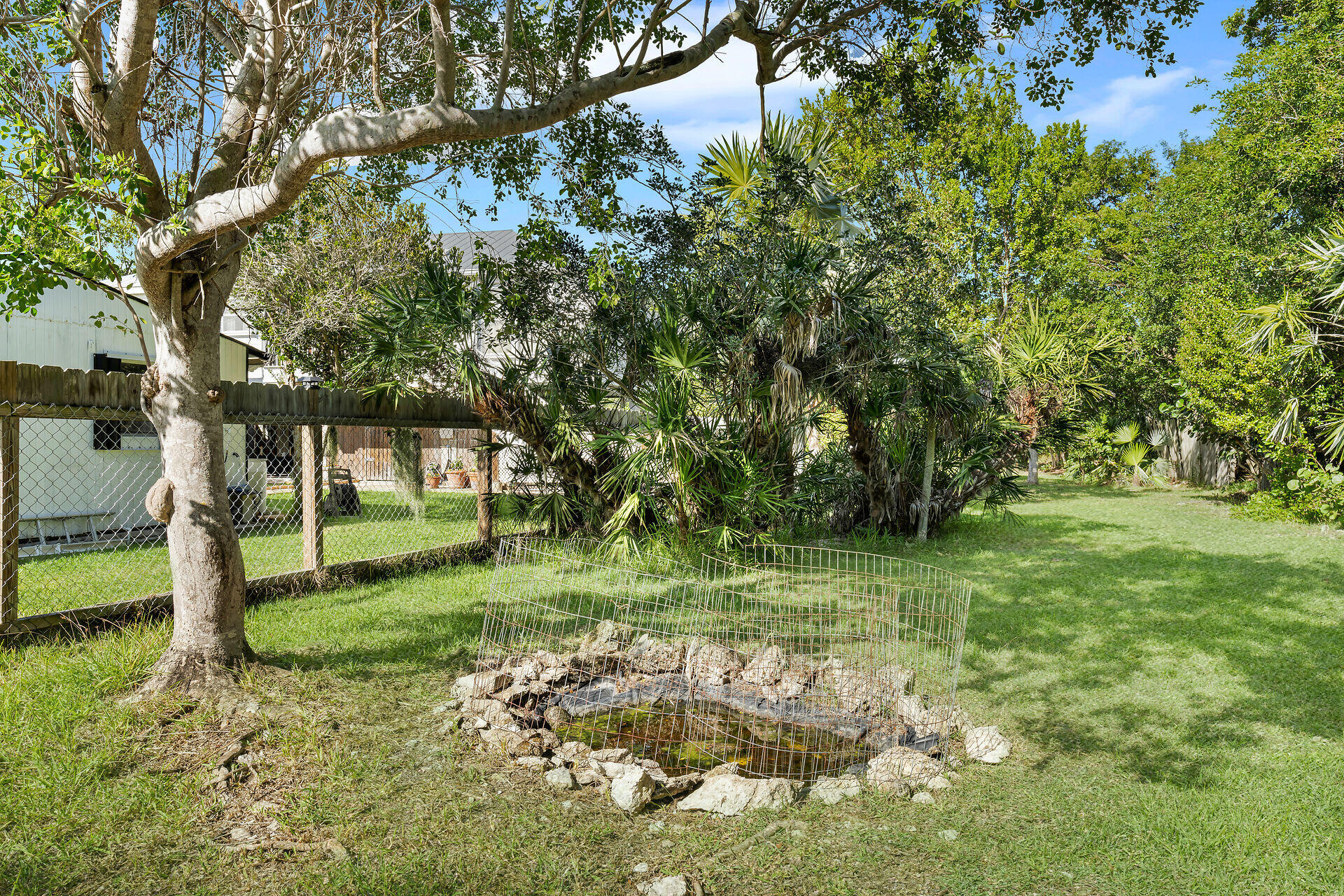 30246 Watson Boulevard Big Pine Key, FL 33043 - Photo 31 of 48 a view of a tree in a yard
