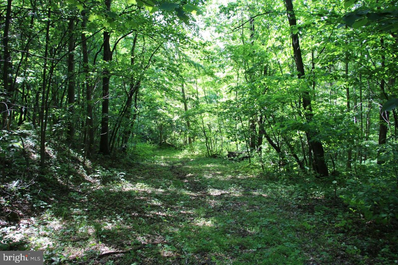 897 Helms Road Stanley, VA 22851 - Photo 42 of 60