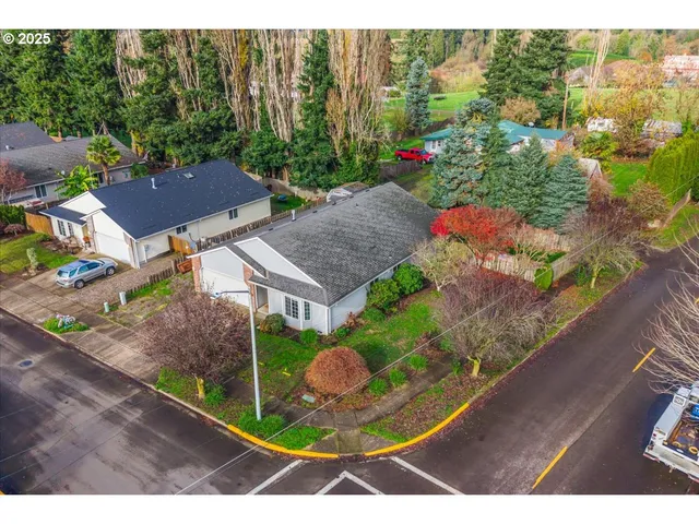 a view of a backyard with plants