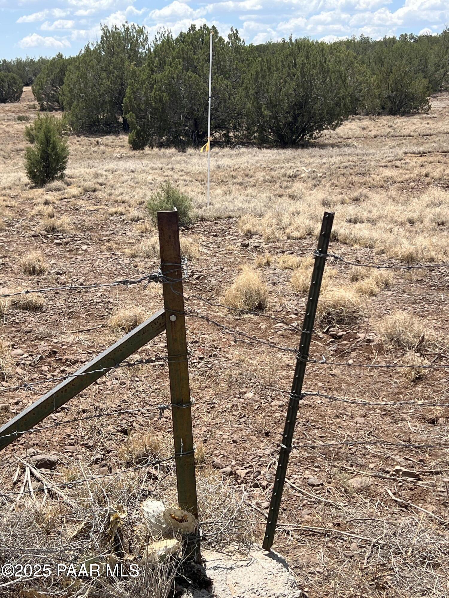11 Old Rte 66 Ash Fork, AZ 86320 - Photo 7 of 20 a view of a yard with snow