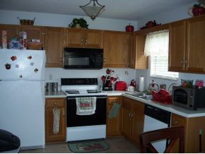 6444 Snapps Ferry Road Afton, TN 37616 - Photo 6 of 19 Photo 6