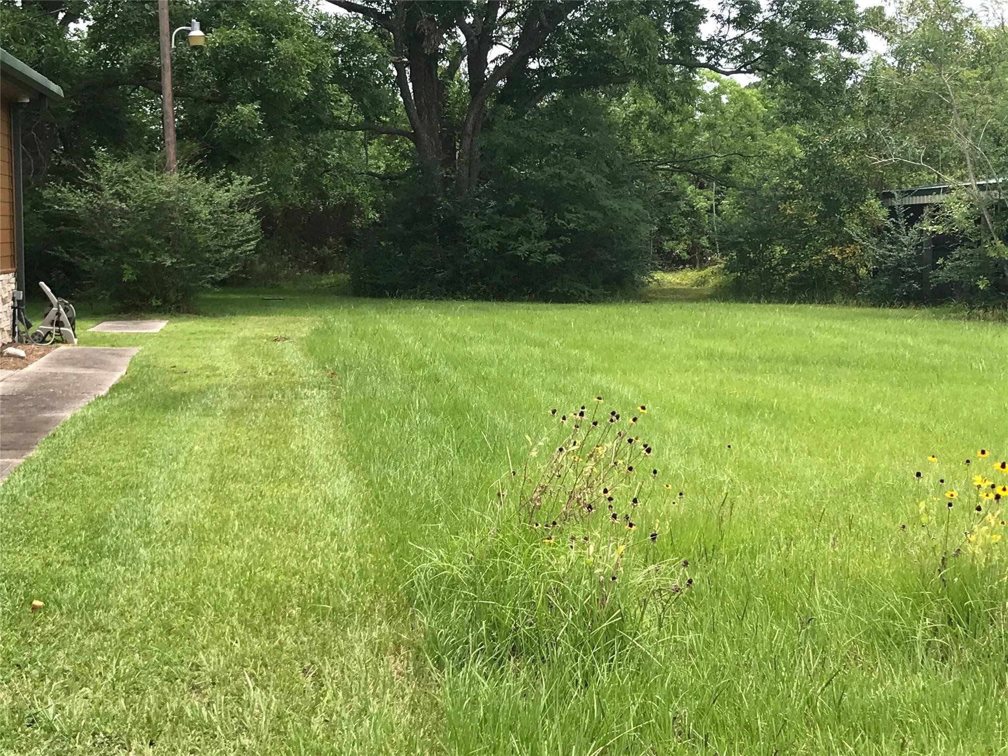 0 Spring Cypress Road Spring, TX 77373 - Photo 1 of 4 a view of a garden