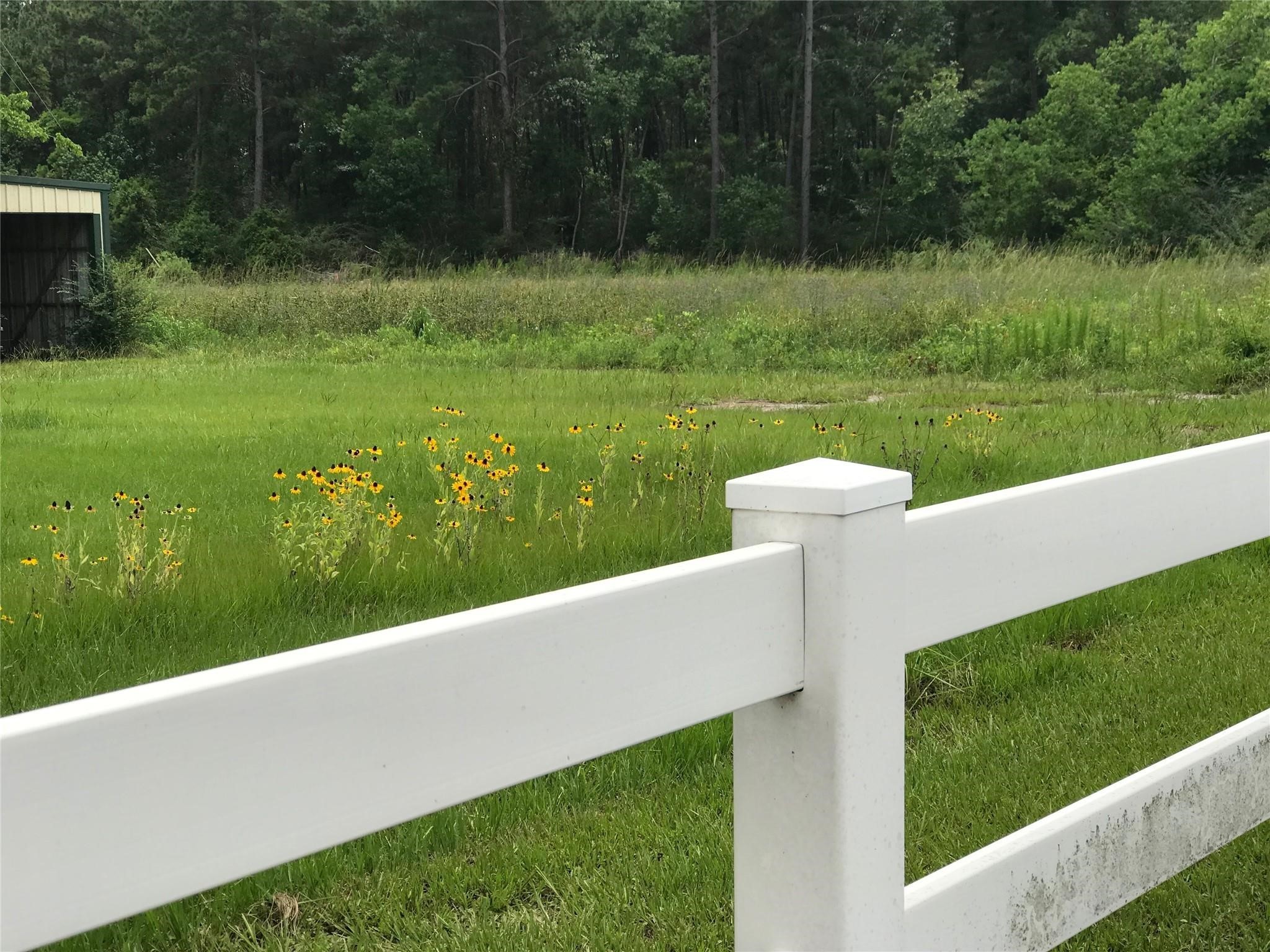 0 Spring Cypress Road Spring, TX 77373 - Photo 3 of 4 a view of a garden and lake