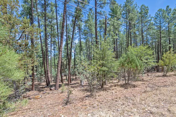 $105,000 | Lot 138 Marcy Way, Pine, AZ 85544