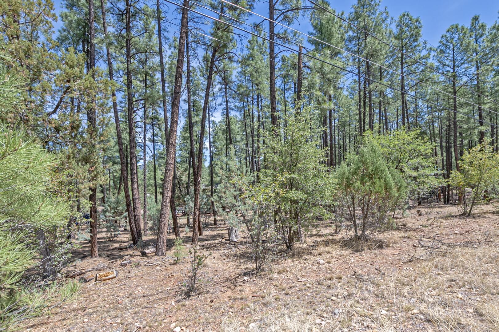 Lot 138 Marcy Way Pine, AZ 85544 - Photo 1 of 6