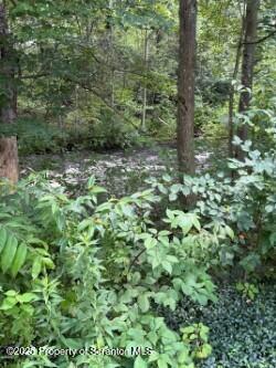 35 Keystone Road, Unit 4 MAPLE Gouldsboro, PA 18424 - Photo 4 of 10 a view of a lush green forest