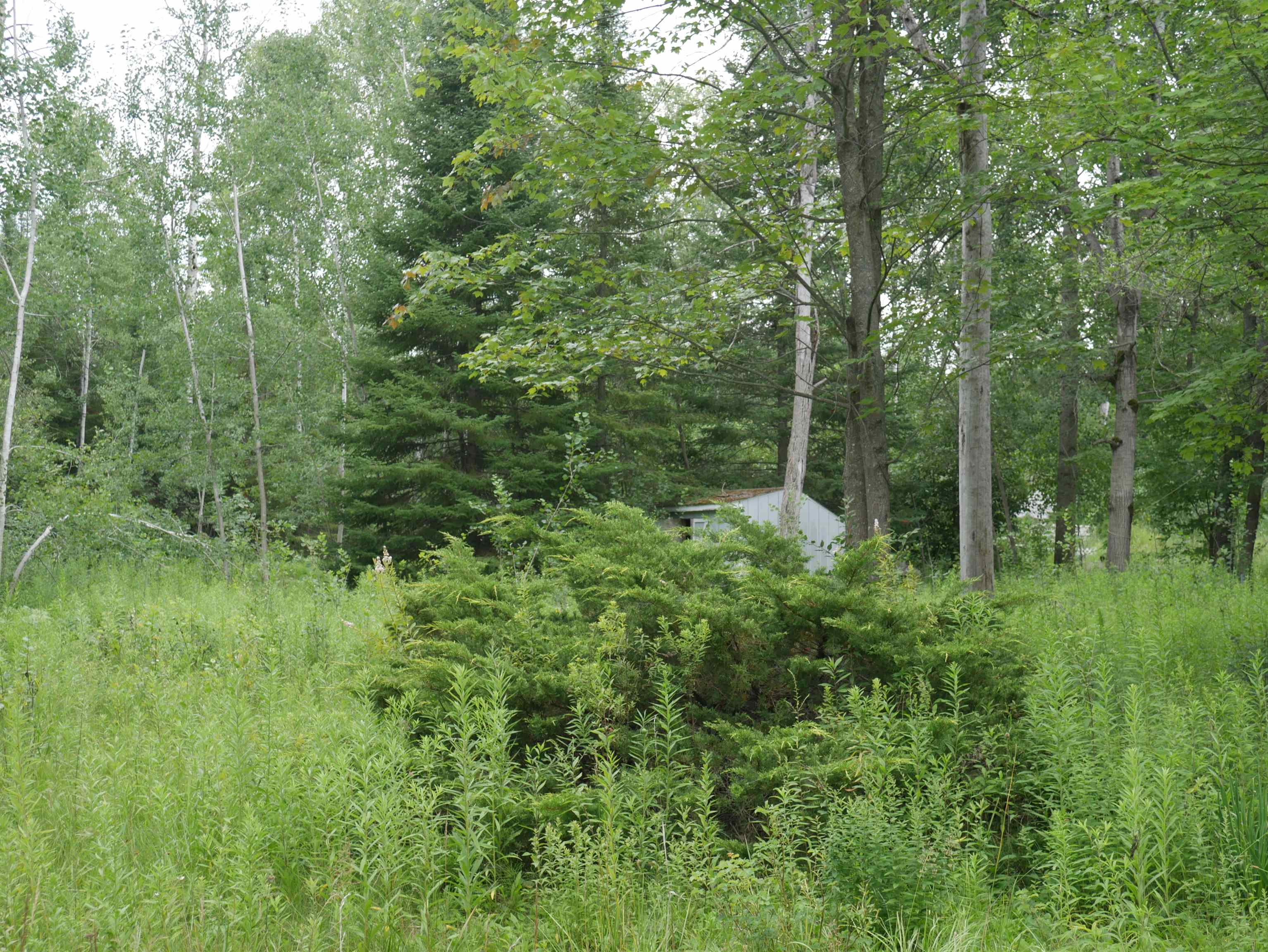 2964 Maple Road Hale, MI 48739 - Photo 2 of 5