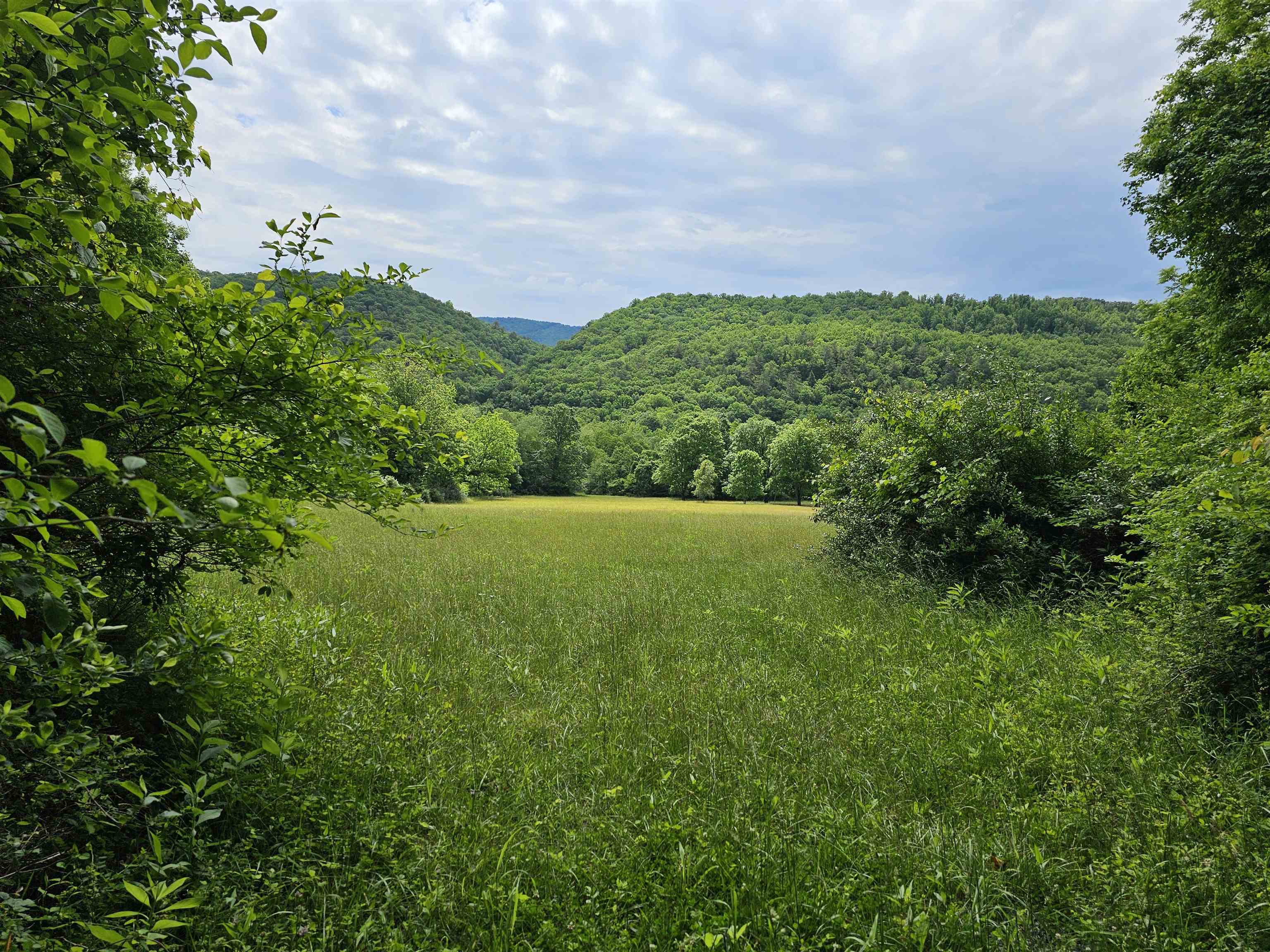 2105 Coles Mountain Road Covington, VA 24426 - Photo 46 of 66