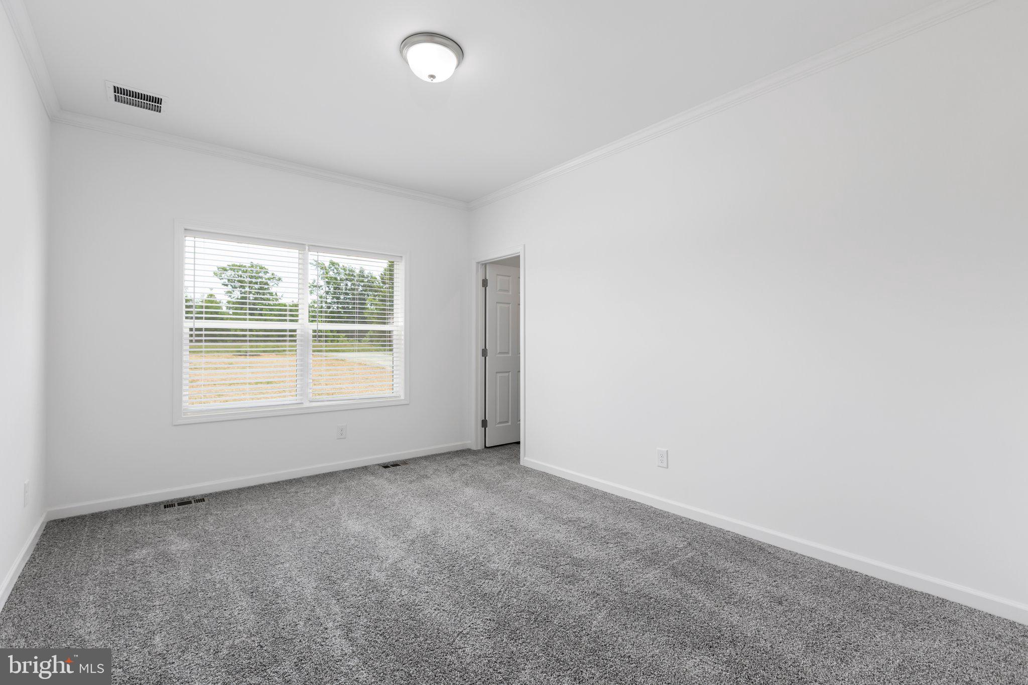 931 Levi Road Green Bay, VA 23942 - Photo 17 of 48