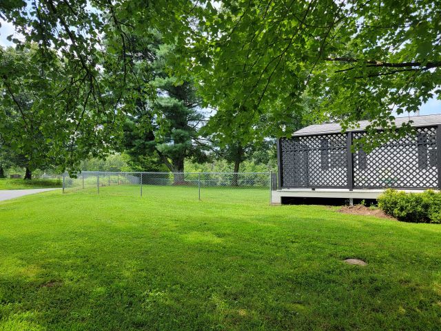 2035 Mt Hebron Road Makanda, IL 62958 - Photo 5 of 44