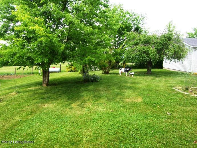 5184 Lawrenceburg Road Bloomfield, KY 40008 - Photo 37 of 45 Yard