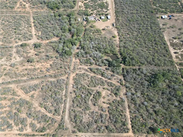 a view of a wooden door with a tree