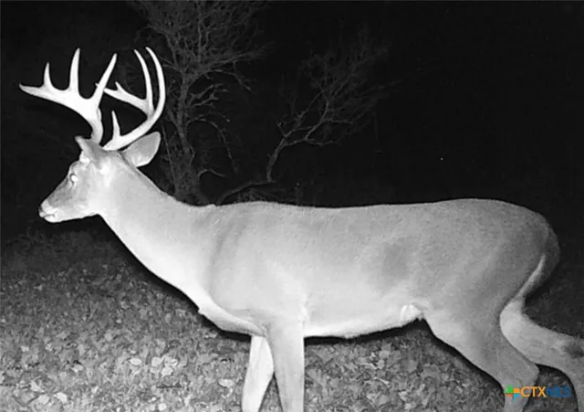 a view of lake with green space