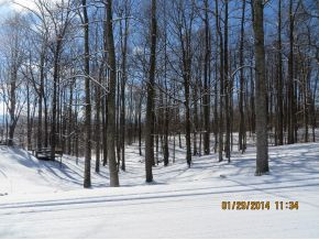 120 County Farm Road Jonesborough, TN 37659 - Photo 2 of 16 Photo 2