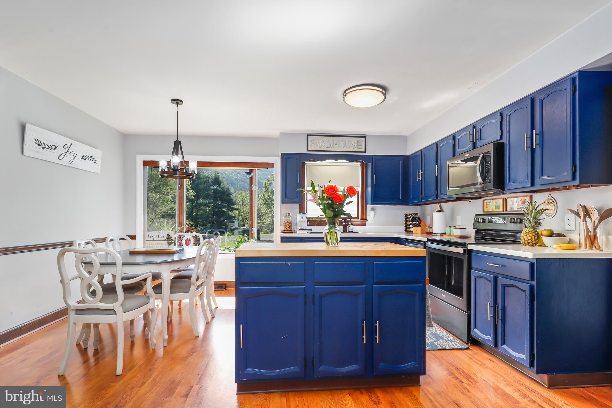 698 Forest View Road Edinburg, VA 22824 - Photo 15 of 54 Beautifully renovated kitchen