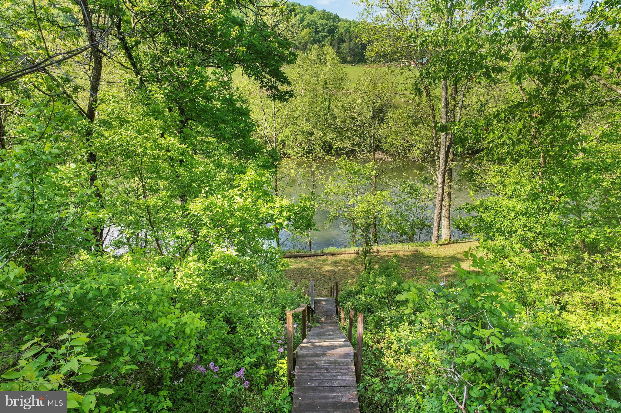 698 Forest View Road Edinburg, VA 22824 - Photo 41 of 54 Gallery Image 41