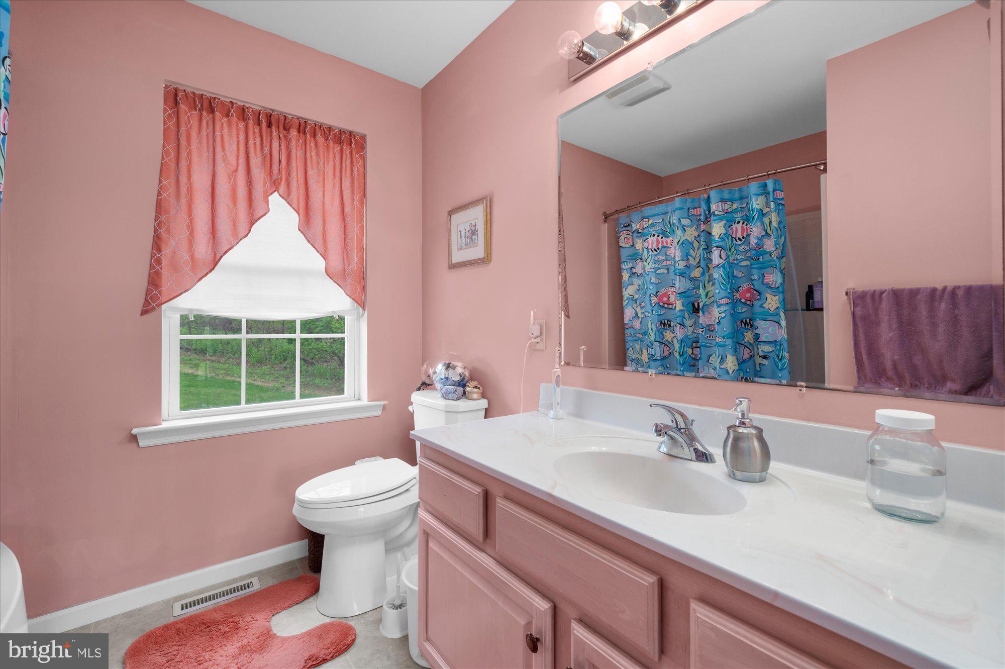 861 Dunkels Church Road Kutztown, PA 19530 - Photo 38 of 55 a bathroom with a sink toilet and a window