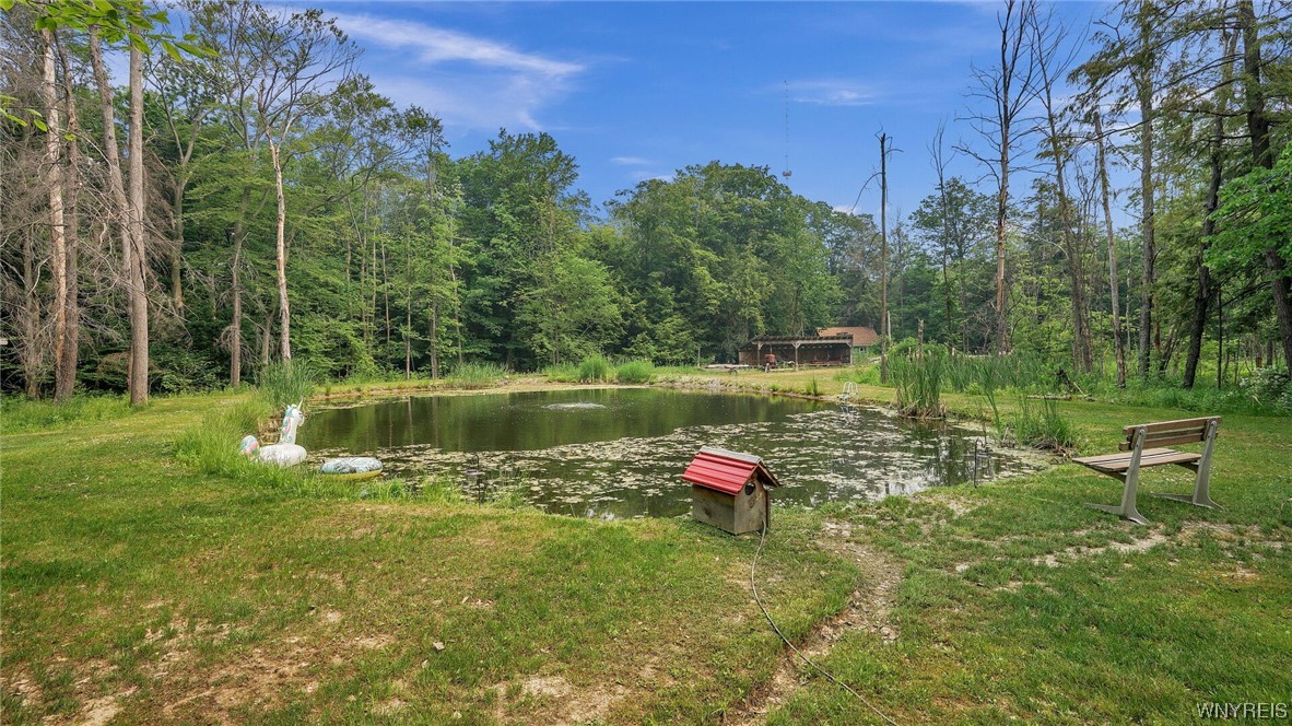 9060 Zimmerman Road Boston, NY 14025 - Photo 3 of 48