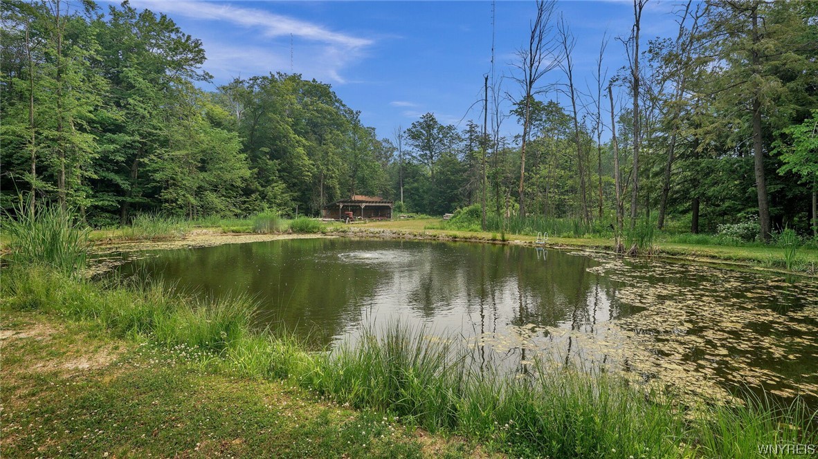 9060 Zimmerman Road Boston, NY 14025 - Photo 39 of 48