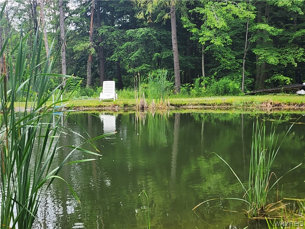 9060 Zimmerman Road Boston, NY 14025 - Photo 41 of 48