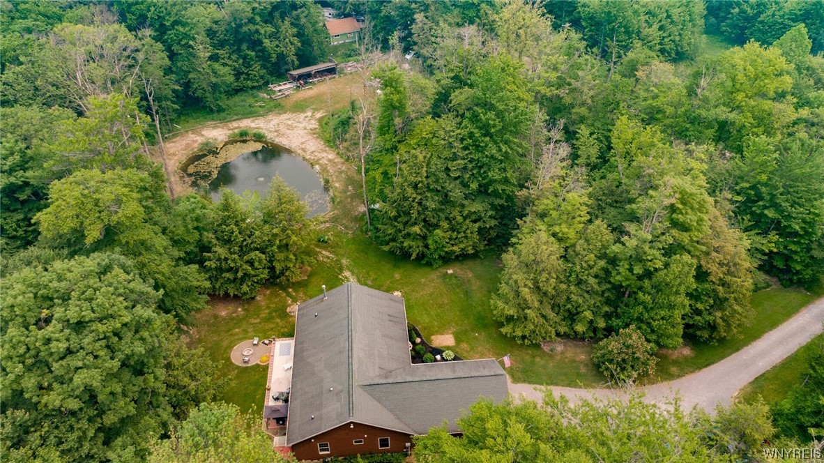 9060 Zimmerman Road Boston, NY 14025 - Photo 42 of 48