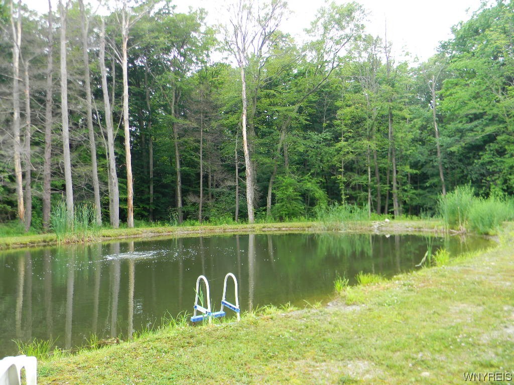 9060 Zimmerman Road Boston, NY 14025 - Photo 43 of 48